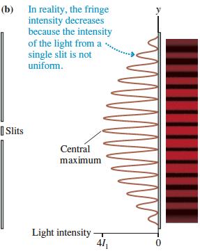 Intensity of the Double-Slit Interference Pattern The actual