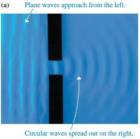 Diffraction of Water Waves A water wave, after passing through an opening, spreads out to fill the
