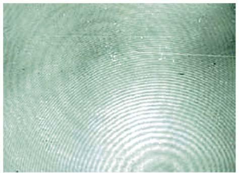 Holography Below is an enlarged photograph of a portion of a hologram.
