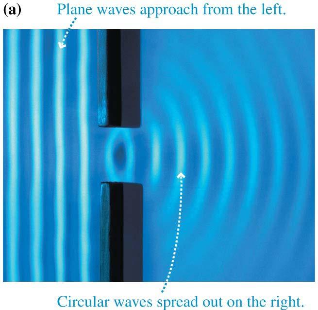 Diffraction of Water Waves A water wave, after passing through an opening, spreads out to fill