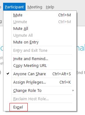 Expelling a Participant 1. In the Participant panel, click on the participant you wish to remove from the meeting. 2. Click on the Participant menu. 3.
