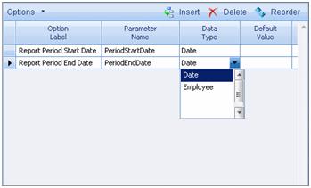 In the Option Label field, enter the text that you want to display for the parameter on the Custom Options tab on the Report Options dialog box in Costpoint CRM Reporting. 5.
