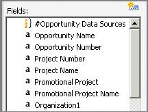 Contents of the Report Model #<Costpoint CRM Entity Name>\ In Report Builder, the first item in the Field list for Costpoint CRM entities is the entity name with a # symbol in front of it.