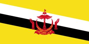 III. Laws and regulations for data governance Brunei has ratified several laws related to cybersecurity Chapter 197 Anti-Terrorism (Financial and Other
