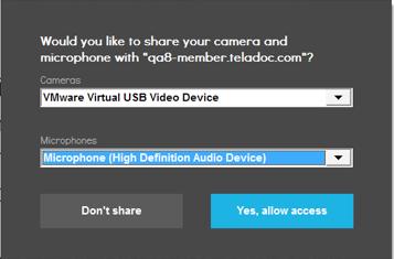 6: Next you are asked to allow access to the camera and the microphone.