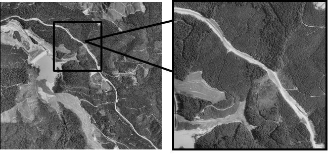 Aerial image was in Geo-tiff format with a spatial resolution of 1 meters while the LIDAR data were in ASCII comma delimited text format with 1,99,95 data points