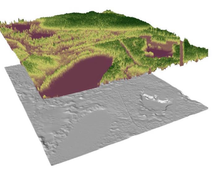 ALS data are used to: LiDAR Measure tree height, tree