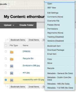 a. From the contextual menu select 360 View to check if the file is linked to current courses.