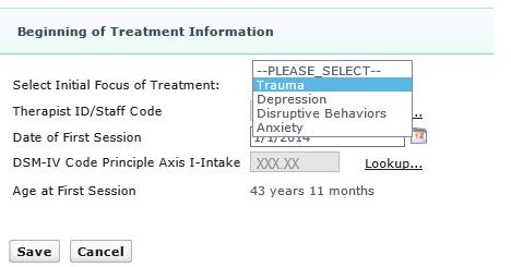 Section 5 Enter Beginning of Treatment Information On the Beginning of Treatment Information page, do the following: 1. Identify the Initial Focus of Treatment from the list of available choices.
