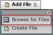 Click the Add File button and select Browse for Files.
