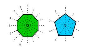 The maximum lines of symmetry that a polygon can have are equal to its number of