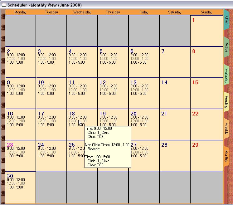 Scheduler Monthly Tab The monthly tab allows the user to see the full month at a glance. In this case, each reserved time or non-clinic time is listed in text format.