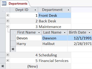 Departments Form When you open the Departments table you can see that it is in a relationship by the expand (+) buttons at the beginning of each record.