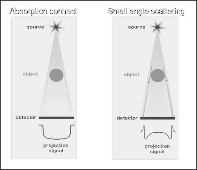 82 Fig.3. Absorption contrast (left) and small angle scattering (right). 4.