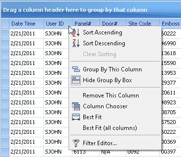 .. Right-click the column name, then click Group By This Column in the pop-up menu (see