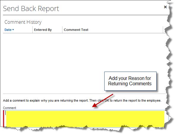 3. The Send Back Report window appears 4.