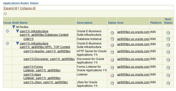 Application Node Status The Application Node Status provides a summary of the availability statuses of various components such as Forms, Applications Listener, Application Server and Database