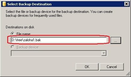 3. Zvolený súbor program automaticky zapíše. Otvorí sa formulár Select Backup Destination a v poli Destinations on disk nájdete cieľový súbor, do ktorého má byť archívny súbor vytvorený.