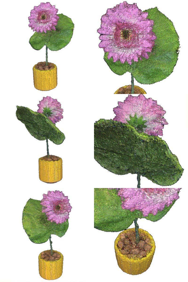 Figure 8: Reconstruction of a flower by voxel coloring using 16 images. SUMMARY AND FUTURE WORK We presented an approach to construct photorealistic 3-D models of real-world objects.