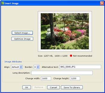 Insert an Image IMPORTANT: When you insert an image, a copy of the image is placed in your lesson folder when you save. Your original image remains in its original location.