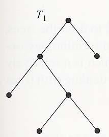 Example of m-ary tree T 1 is a full binary tree.