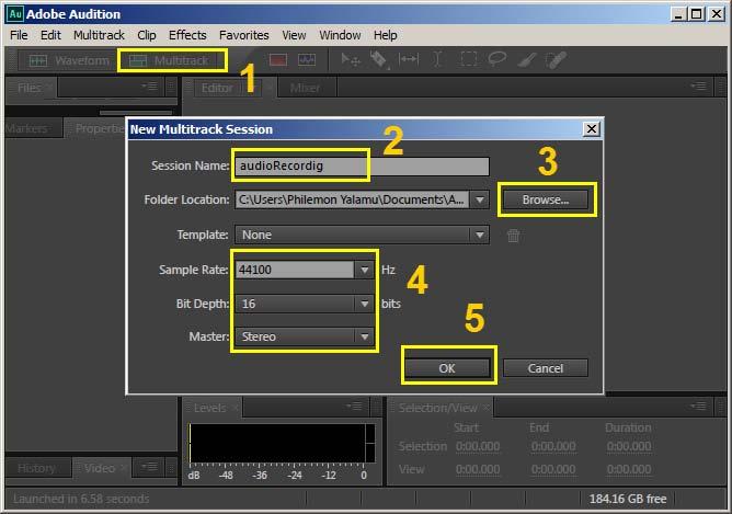 . The Multitrack Session Click the Multitrack button ( below) to create a new multitrack session. You ll get a pop-up window upon clicking the Multitrack button.
