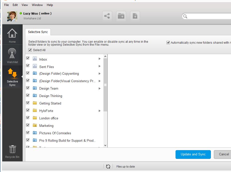 In the Selective Sync dialog, you ll see the areas of your Workshare sync folder Group Files and My Files.