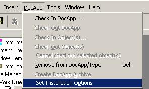 The Target DocBase Installation Options