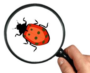 What is Bugs?