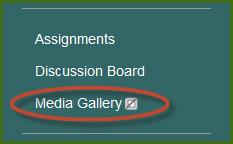 Select Media Gallery from the drop down list and give the tool link a name (Media Gallery is a good one, but you can name it whatever you like.