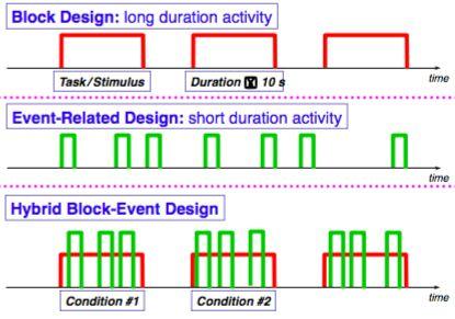 Experiment Design Types: Event Related Design Types: Slow separate activations in time so you can model the fmri response from each separately Rapid Need to make inter stimulus intervals vary if