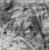 6 (a4), one can see that mean filter can remove effectively, but the details of the original image are also lost and the Lena image becomes blurred. Fig.