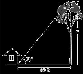14. Triangle ABC is shown. What is the value of? 15. There is a large tree 80 feet from a house.