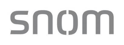 Strategic Acquisitions Snom Completed in November 2016 German company which is a pioneer in VoIP phone development Strong synergies from combining Snom s technical