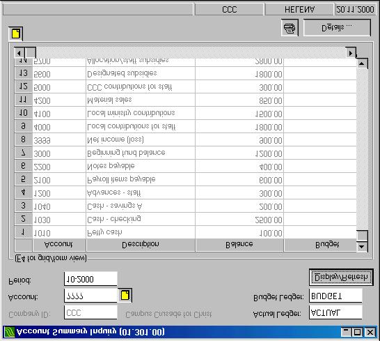 International Financial Management Solomon 4.5: View information on the screen 4 3 Account summary inquiry screen (first level): all accounts (indicated by?
