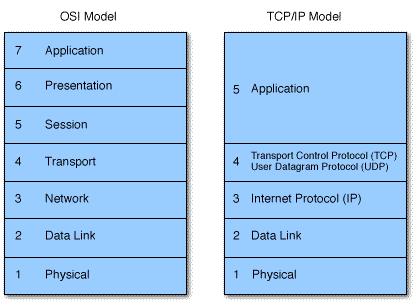 The OSI and TCP/IP Models