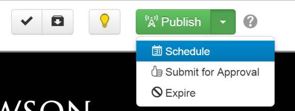 Other Publishing Options Schedule a Publish You would schedule a publish for a campaign beginning a certain time. Or maybe you are going on vacation and you wish a page to publish while you are gone.