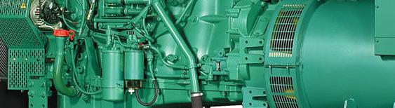 cylinders,governing system, cooling system, air charging system, air intake system. All these details affect the ecision of which engine to use and which performance is expected.