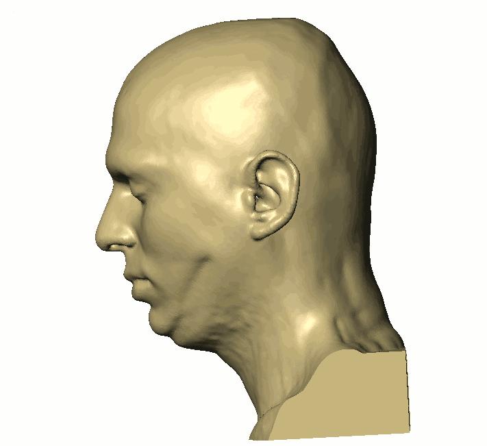 Head Model for Realistic Simulation In vivo MRI scan of 26 year old male Segmentation Threshold, floodfill and filters Segmentation of 12 structures In collaboration with: