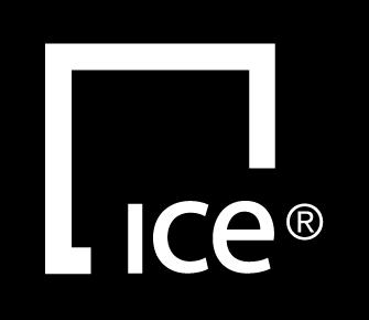 INTRODUCTION 1. SINGLE SIGN ON (SSO) Given the constant barrage of cyber security incidents in the headlines, cyber security is now a top priority for ICE.