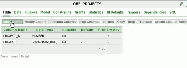 1. Make sure the OBE_PROJECTS table is selected.