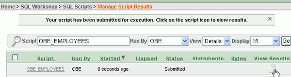 7. The script was executed. To view the results, click the View Results icon. 8.