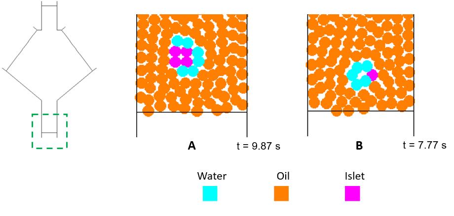 CHAPTER 3. RESULTS AND DISCUSSION Figure 3.10: Particles distribution at the end of the capillary outlet with d SP H = 100 µm. A: d islet = 200 µm, B: d islet = 100 µm.