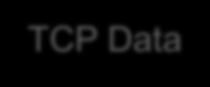 TCP Header TCP Data Transport Layer