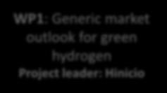 Project leader: Hinicio WP1: Generic market outlook for