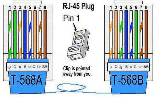 either a bus or star topology Ethernet Cable Ethernet Switch It is extremely important to follow the T-568 wiring standard when terminating Ethernet cables.