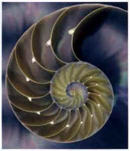 A Coding Challenge What is the largest Fibonacci number less than