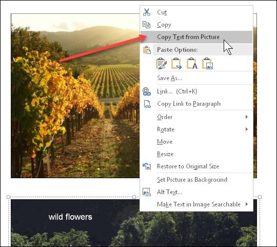Insert the Text In Picture_wildflowers from the OneNote folder, right below WineryLandscape picture on the page. 2.