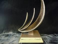 Innovation Award 2004