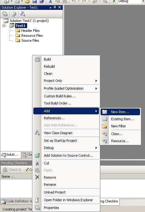 Figure 2: New project window The first step to do in a new project is to create a file that we can write our codes